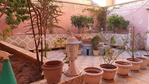 Vente Immeuble Oran Oran