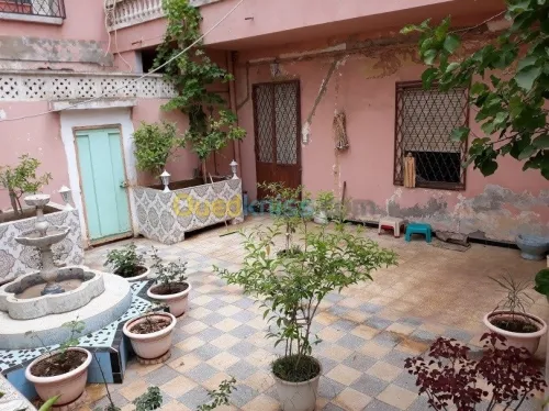 Vente Immeuble Oran Oran