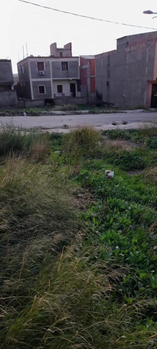 Vente Terrain Bouira El asnam