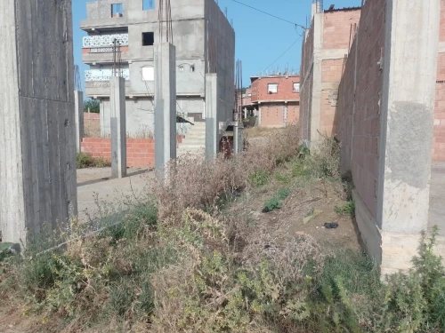 Vente Terrain Blida Ouled selama