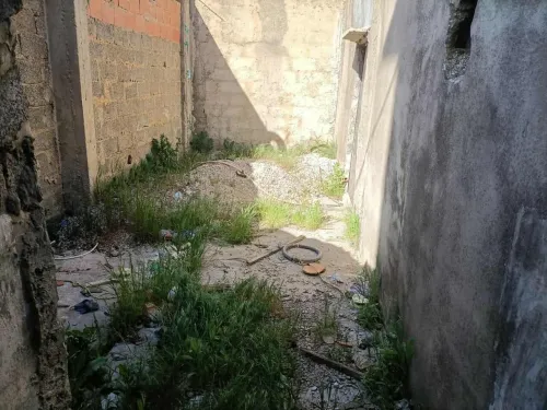 Vente bien immobilier Souk Ahras Ouled driss