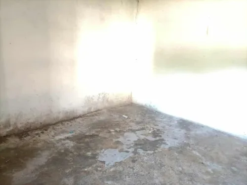 Vente bien immobilier Souk Ahras Ouled driss