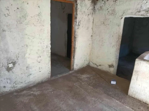 Vente bien immobilier Souk Ahras Ouled driss