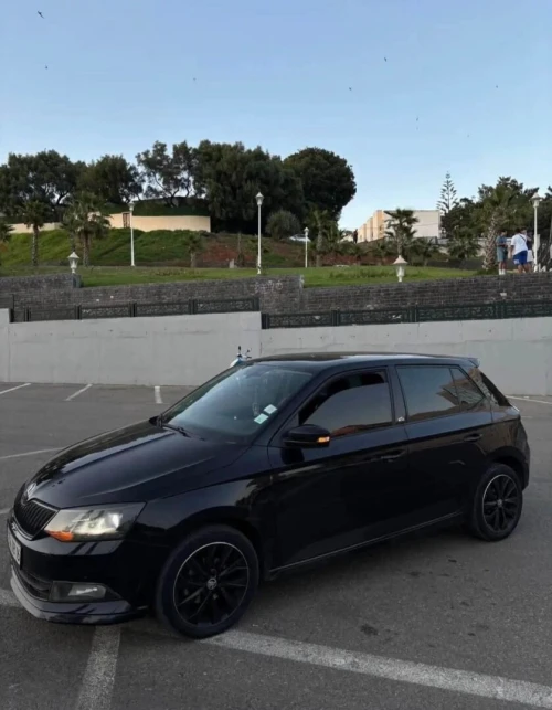 Skoda Fabia 2018 Monte Carlo