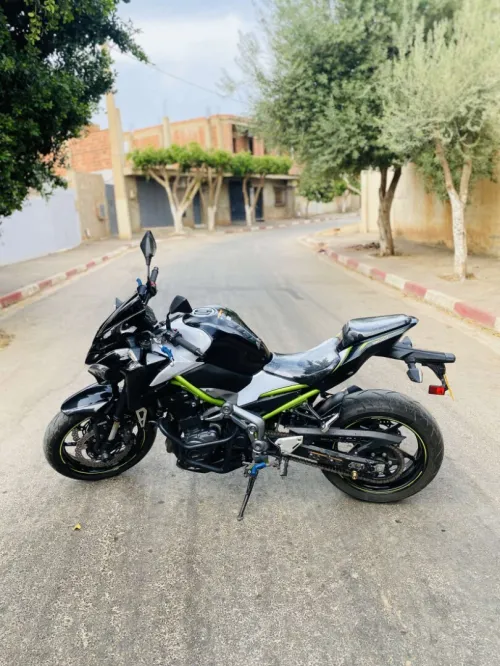 Kawasaki Z900 2019