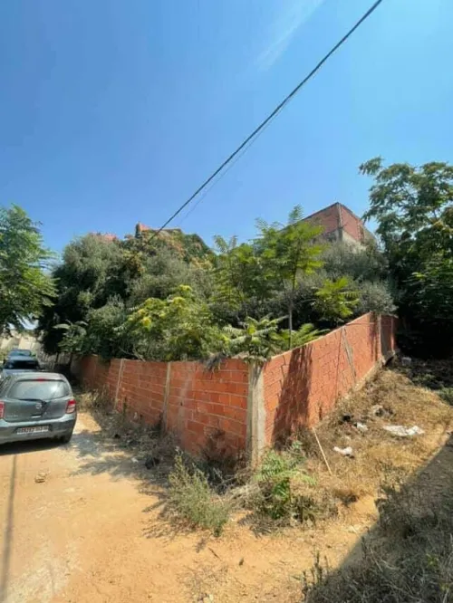 Vente Terrain Tipaza Bou haroun