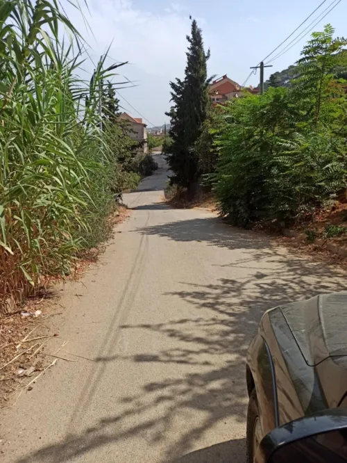 Vente Terrain Tipaza Bou haroun