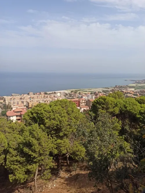 Vente Terrain Tipaza Bou haroun