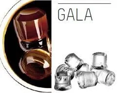 série SS , machine a glaçon , pondeuse à glaçon , آلة صنع الثلج