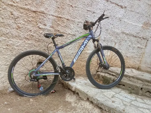 Vilo ami 