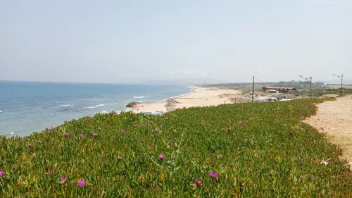 Vente Villa Boumerdès Boudouaou