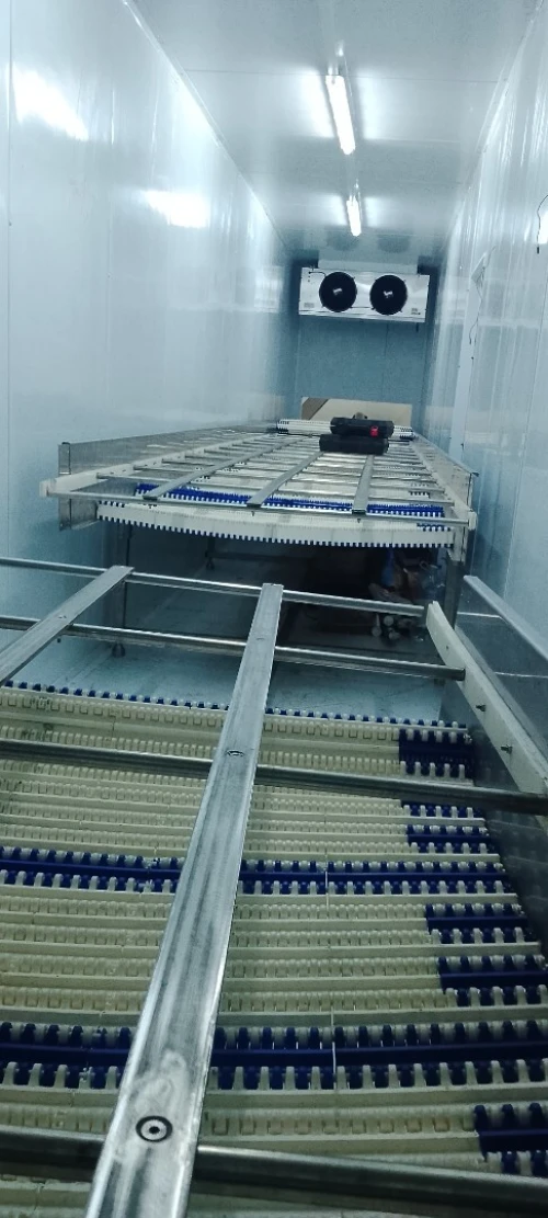 Montage chamber froide et tunnel surgélation