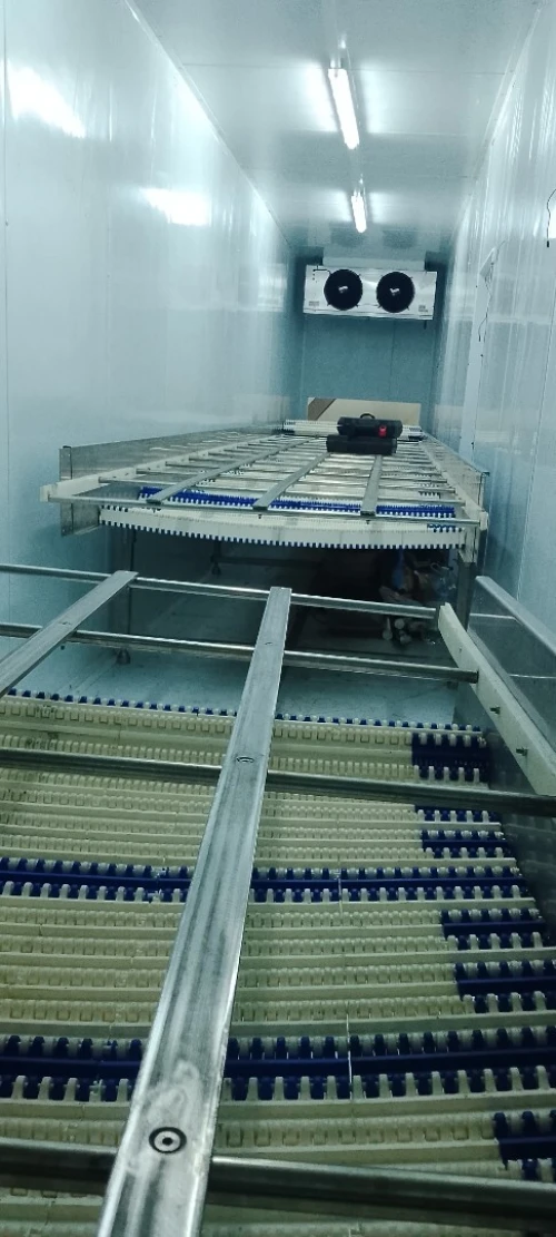 Installation  Chambers froide et Tunnel surgélation.