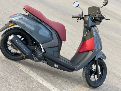 Vms Gemma 2025