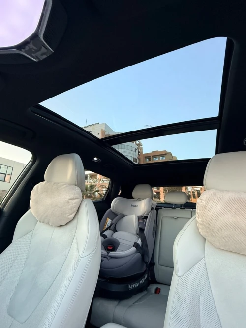 Geely Starray 2024 2024 FLAGSHIP