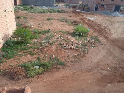 Vente Terrain Tlemcen Maghnia