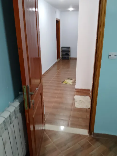 Location Appartement Duplex F3 Chlef Tenes