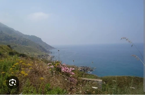 Vente Terrain Tizi Ouzou Azeffoun