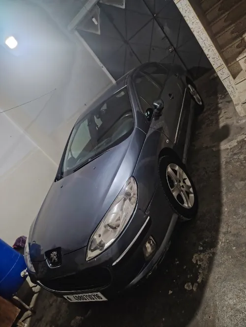 Peugeot 407 2007 407