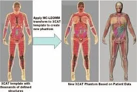 LICENSE ACADEMIC XCAT PHANTOM V2 MOBY V2 ROBY V2 XCAT CT PRJECTOR UNIVERSITY