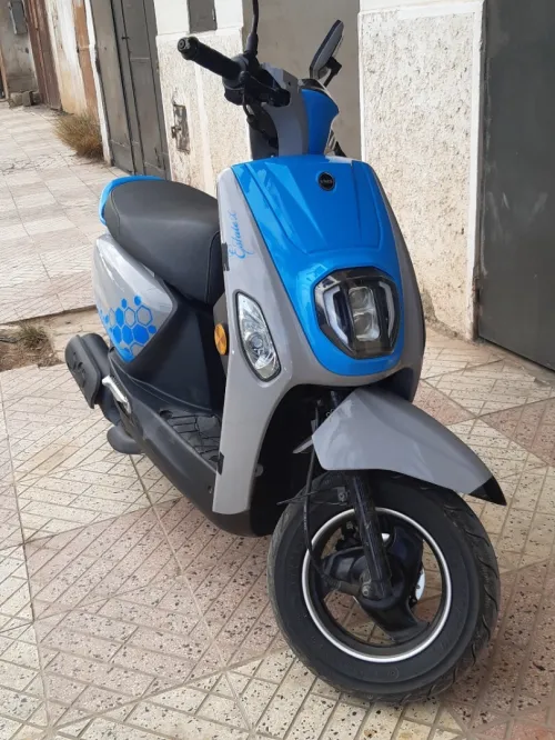 Vms Coxi estat x 2022