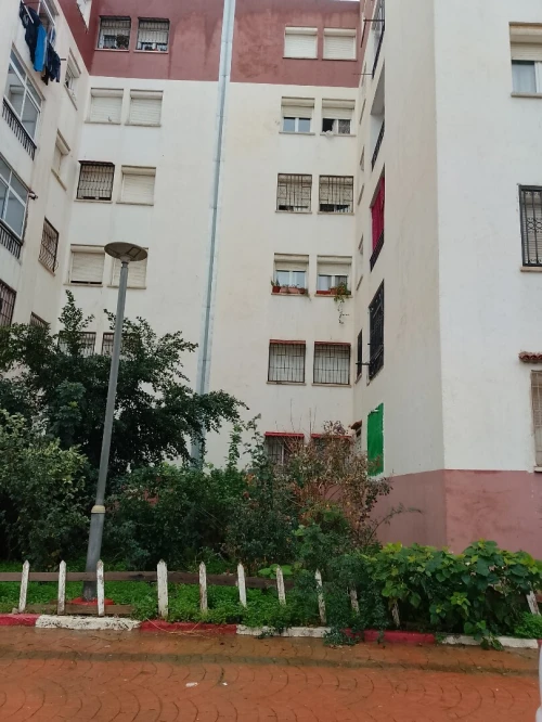 Vente Appartement F4 Blida Bouinan