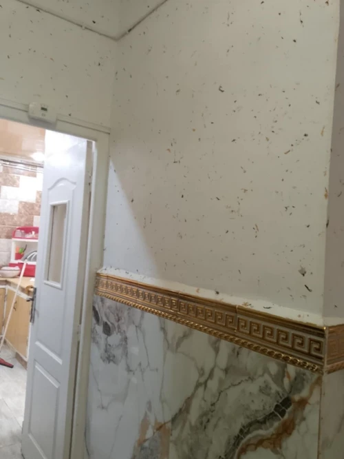 Vente Appartement F3 Boumerdès Boumerdes