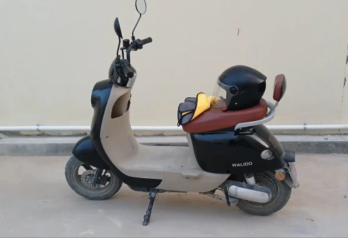 Niu Niu walido 2025