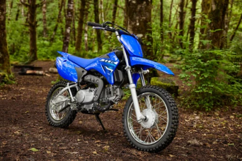 Yamaha TT-R110 2025