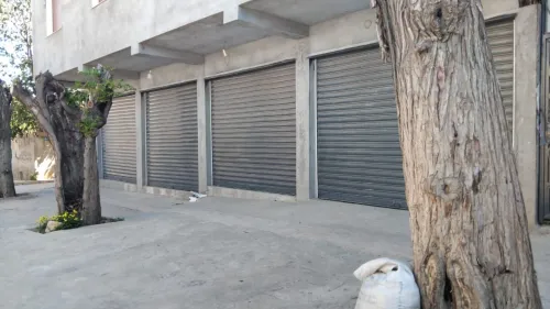 Location bien immobilier Tipaza Hadjout