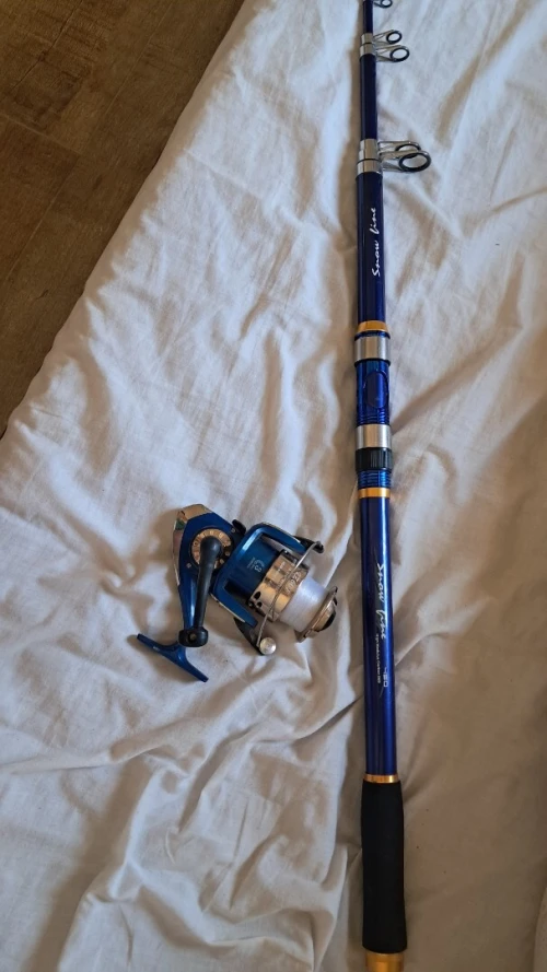 Canne à pêche 3.60m
