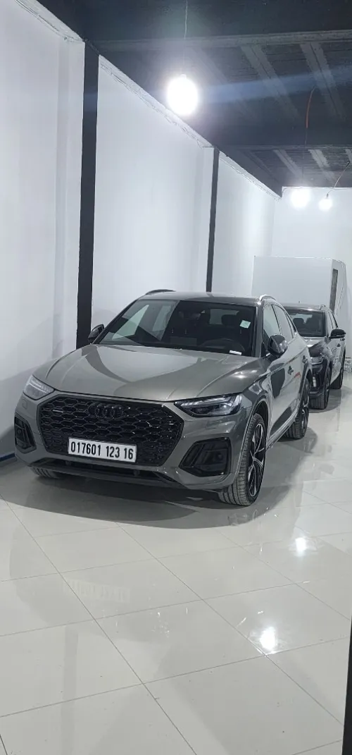 Audi Q5 2023 Fuul options