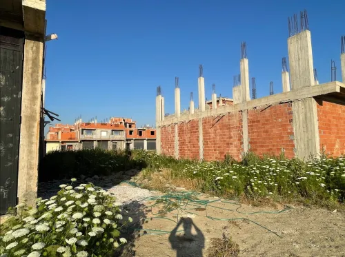 Vente Terrain Alger Tessala el merdja