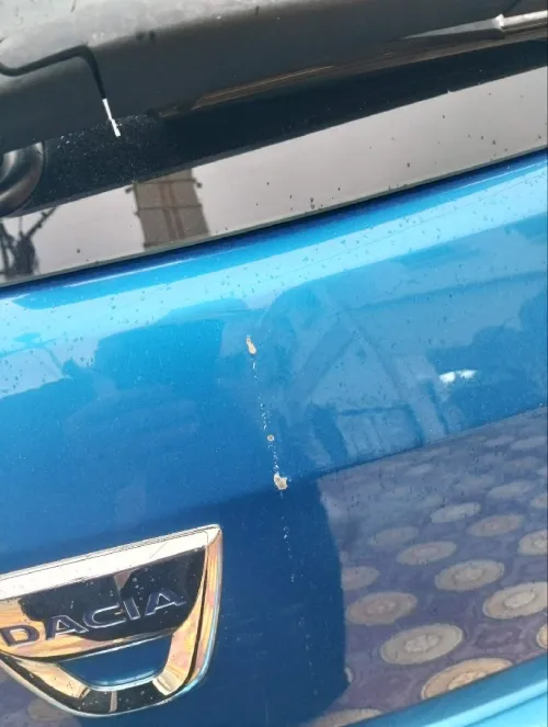 Dacia Sandero 2022 Stepway