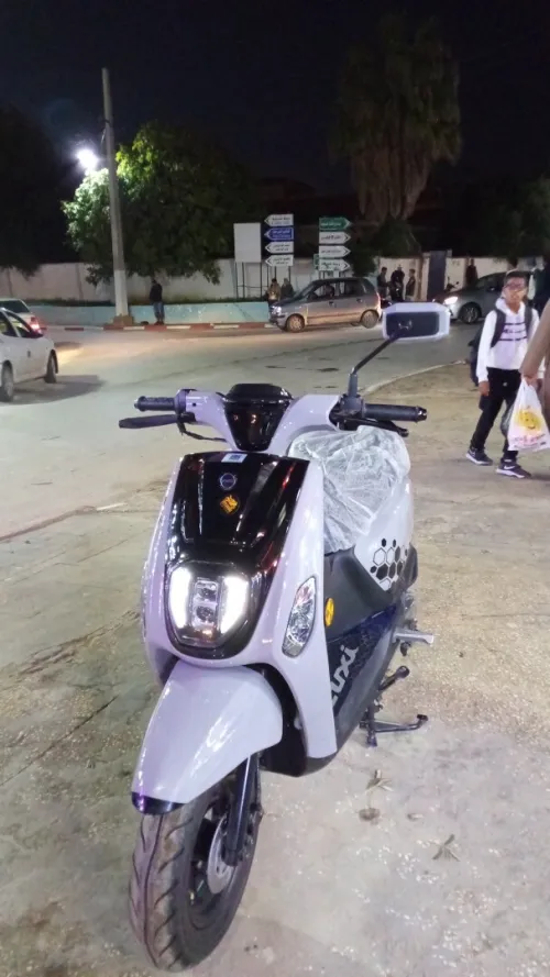 Vms Estate x 2025
