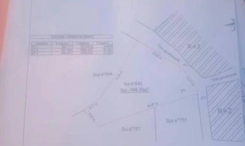 Vente Terrain Alger Zeralda