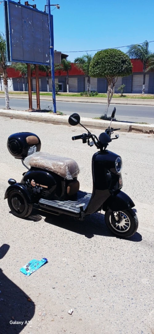 Mt phoenix Electrique 2026