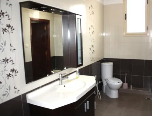 Location Appartement Duplex F7 Alger Hydra