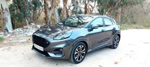 Jaguar Jaguar 2022 St