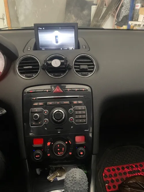 Peugeot 308 2013 Féline