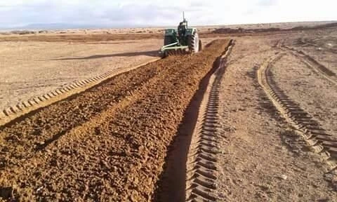 Vente Terrain Agricole Tiaret Rechaiga sebaine
