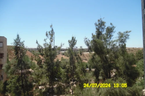Vente Appartement F4 Alger Zeralda