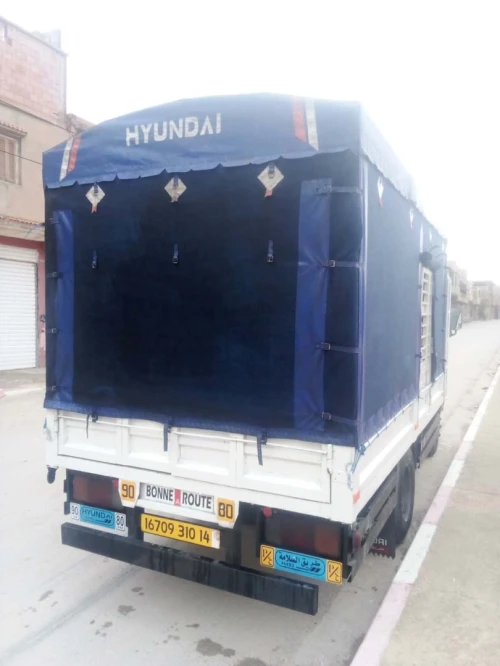 Hyundai HD35 2010