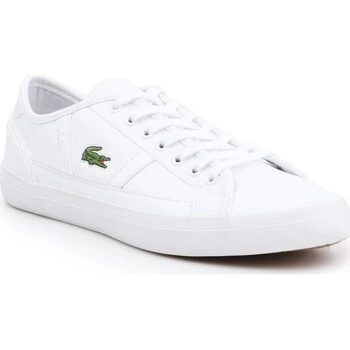 Basquette Lacoste