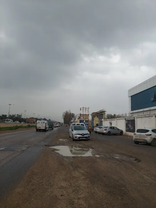 Vente Terrain Alger Tessala el merdja