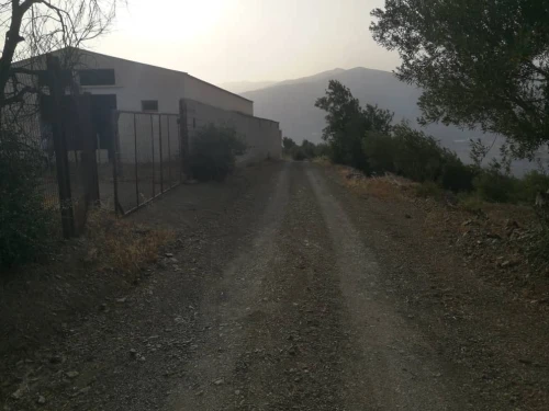 Location Hangar - Usine Béjaïa Akbou