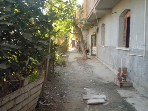 Vente Appartement Niveau de villa F3 Alger Sidi moussa