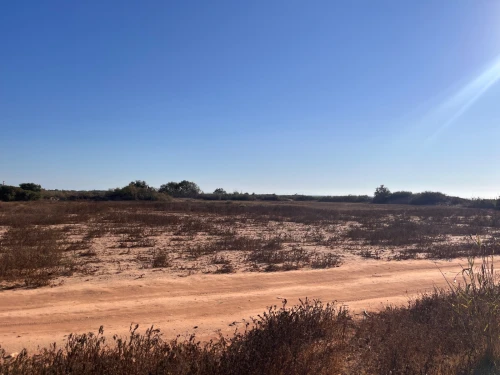 Vente Terrain Mostaganem Abdelmalek ramdane