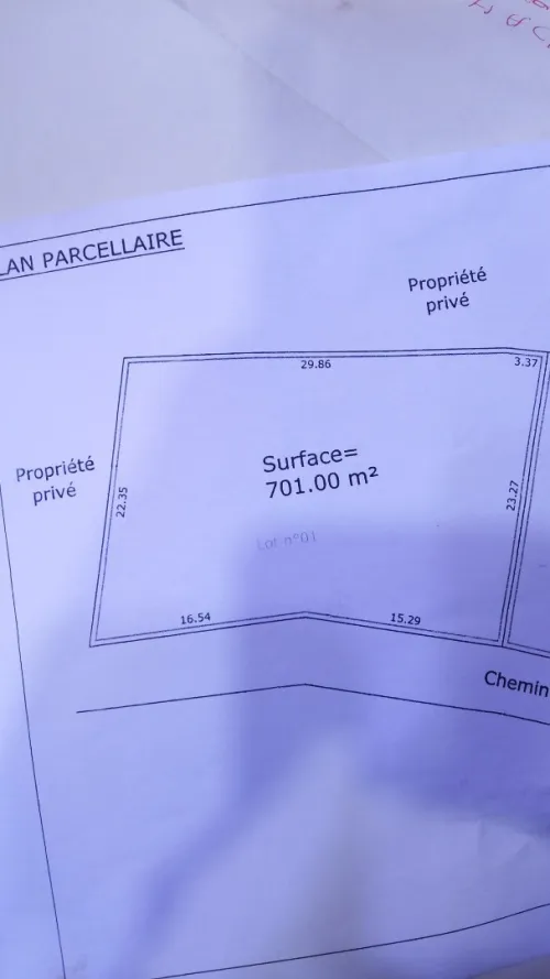 Vente Terrain Blida Blida
