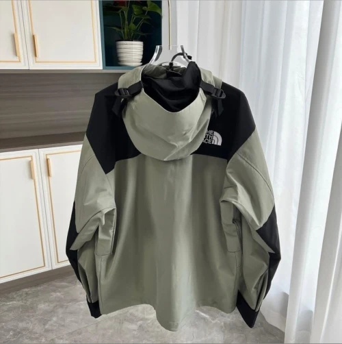Veste the north face